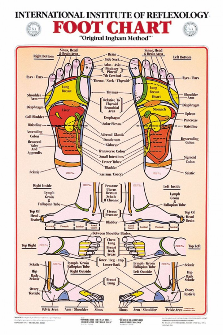 Printable Foot Reflexology Charts & Maps ᐅ TemplateLab