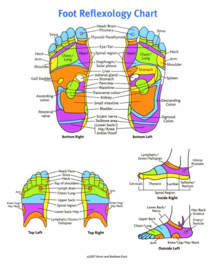 Printable Foot Reflexology Charts & Maps ᐅ TemplateLab