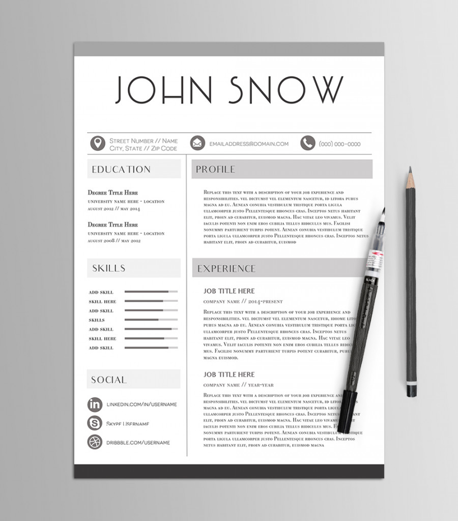 Professional Stylized Resume Template - No