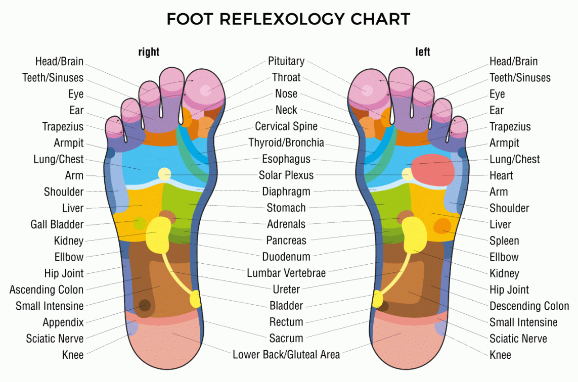 Reflexology - Amy Kurtz