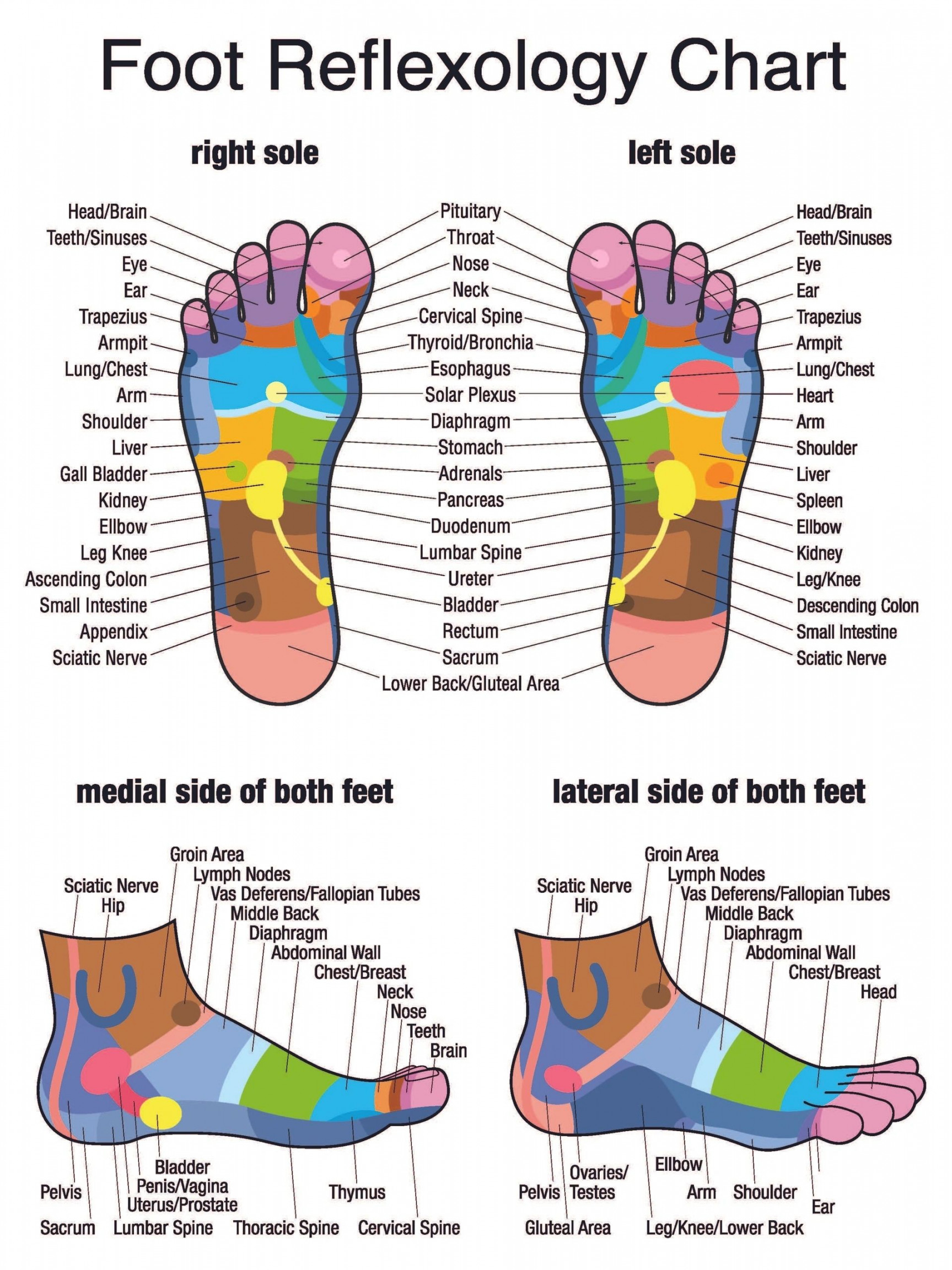 Reflexology: History, What to Expect, Benefits & After Care