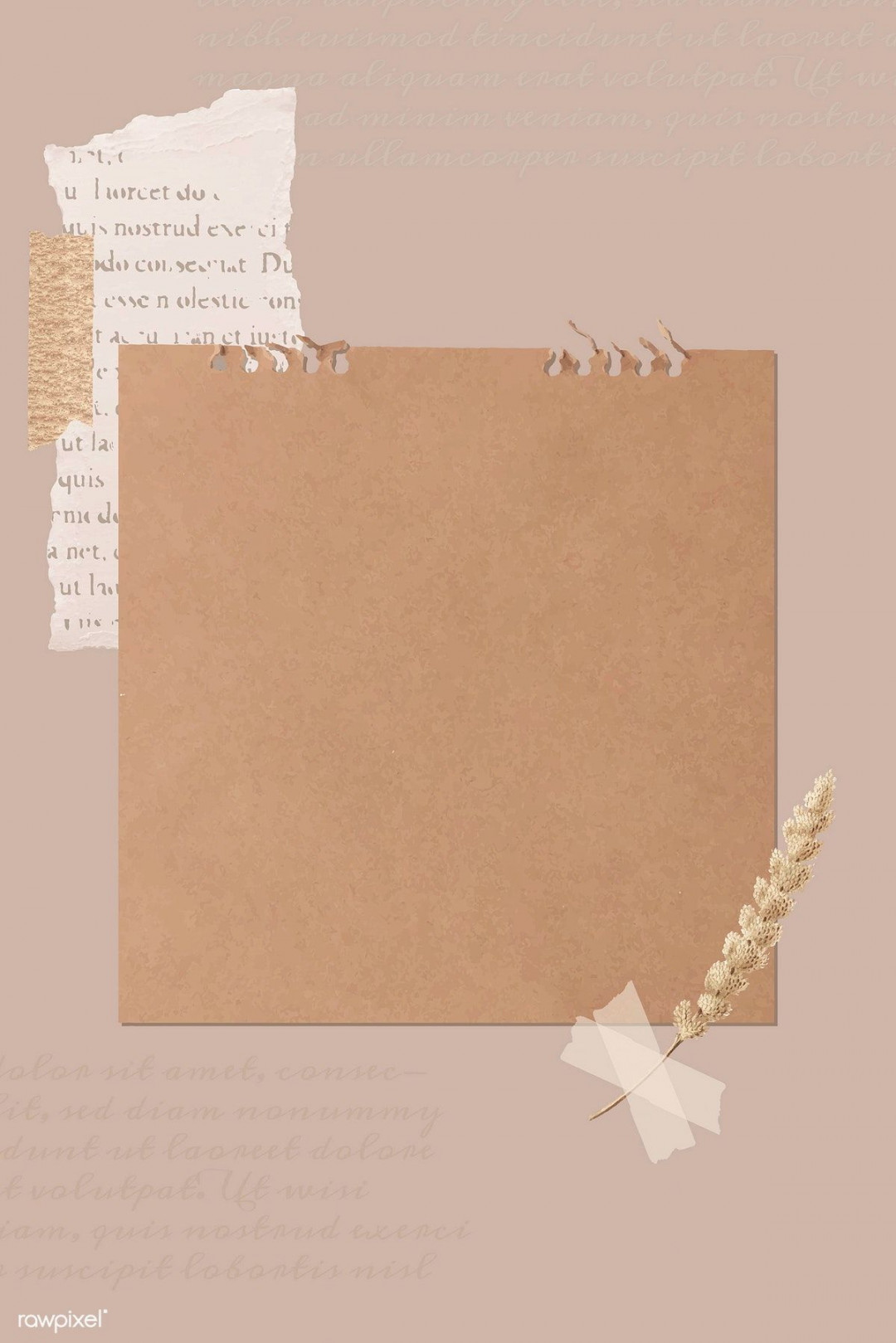 Ripped newspaper and flower stem on old brown paper banner vector