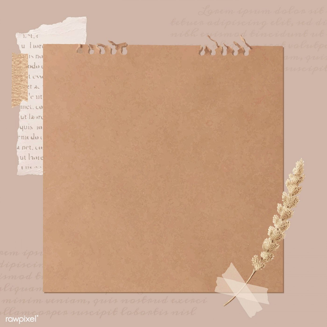 Ripped newspaper and flower stem on old brown paper banner vector