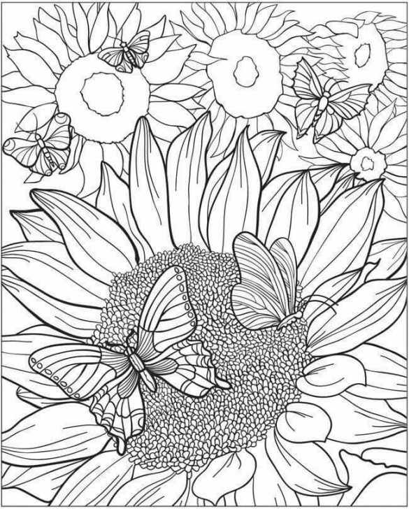 Sunflowers and butterflies  Sunflower coloring pages, Butterfly