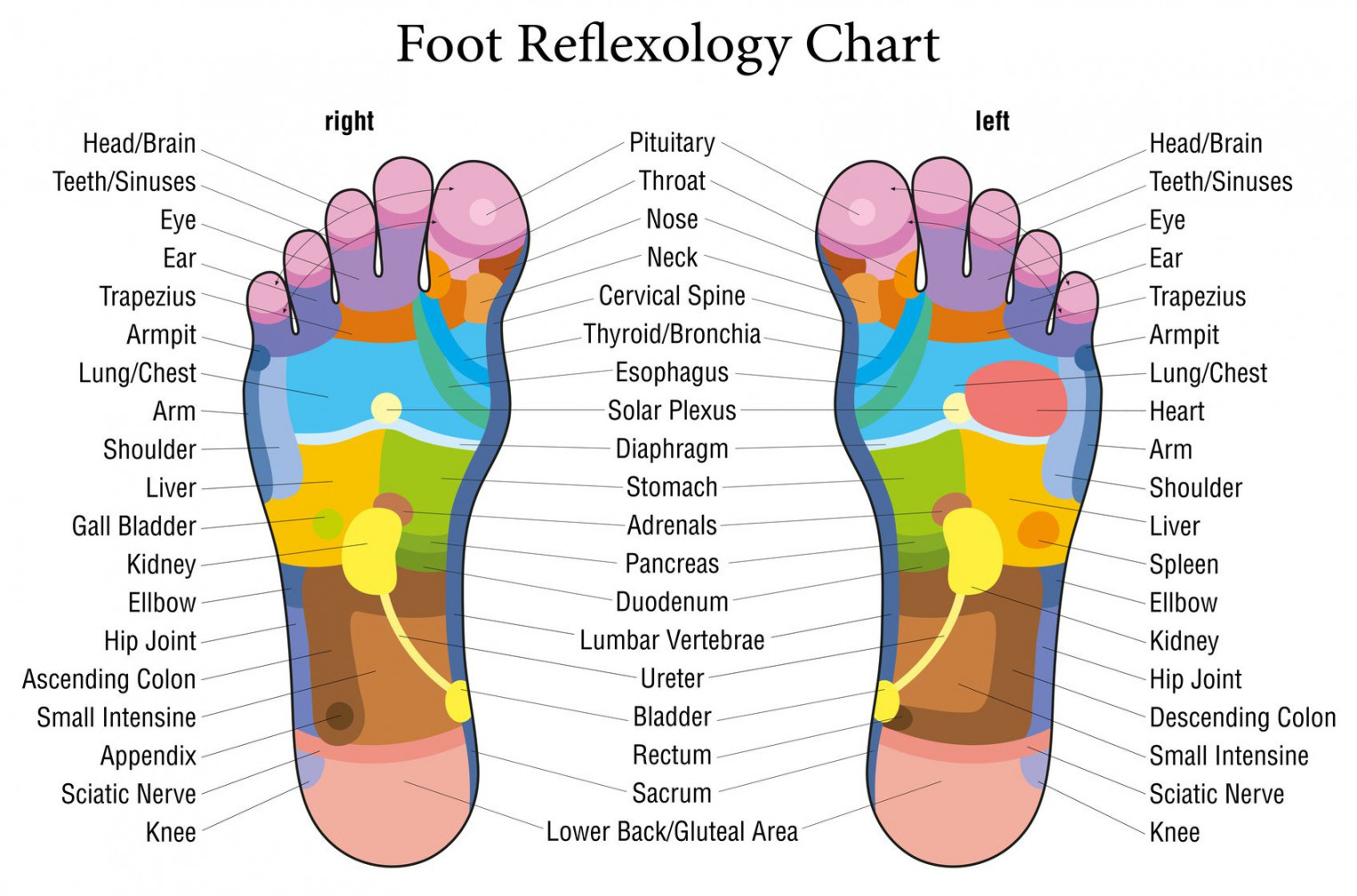 This is What Happens When You Touch These Points On Your Feet