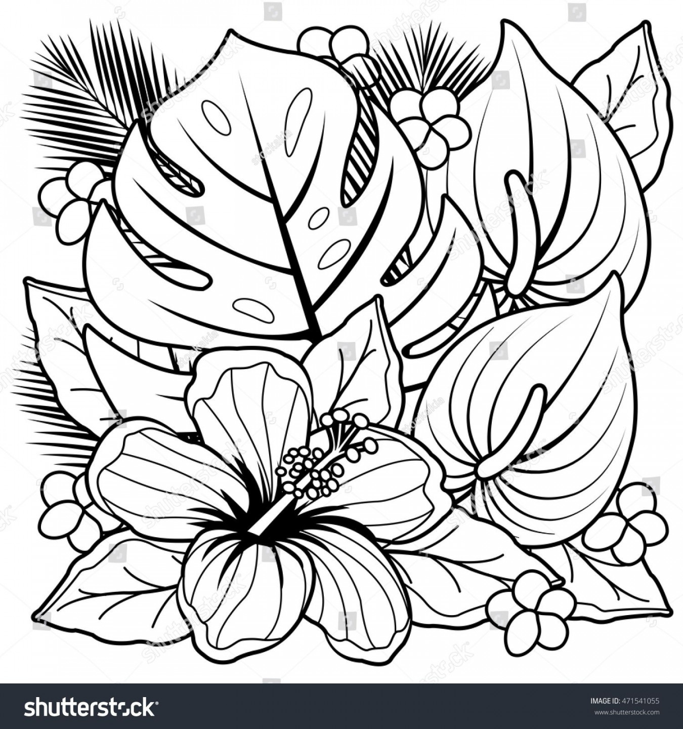 Tropical Plants Hibiscus Flowers Vector Black Stock Vector