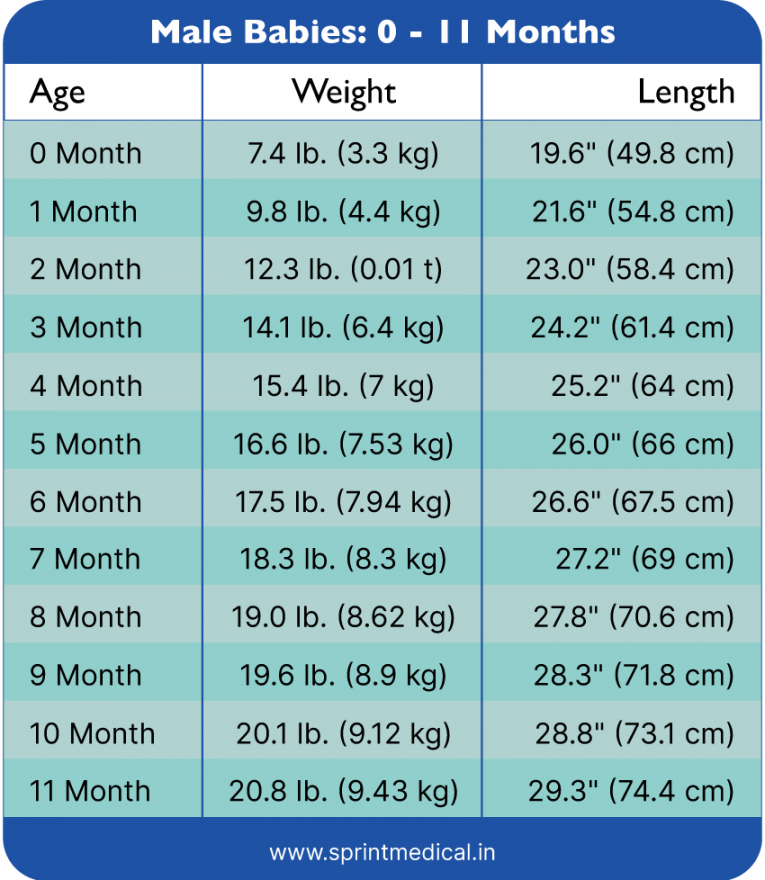 Weight Chart for Kids: Understanding Baby Weight Charts  Sprint