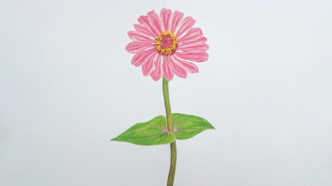 Zinnia Flower Drawing with Watercolor