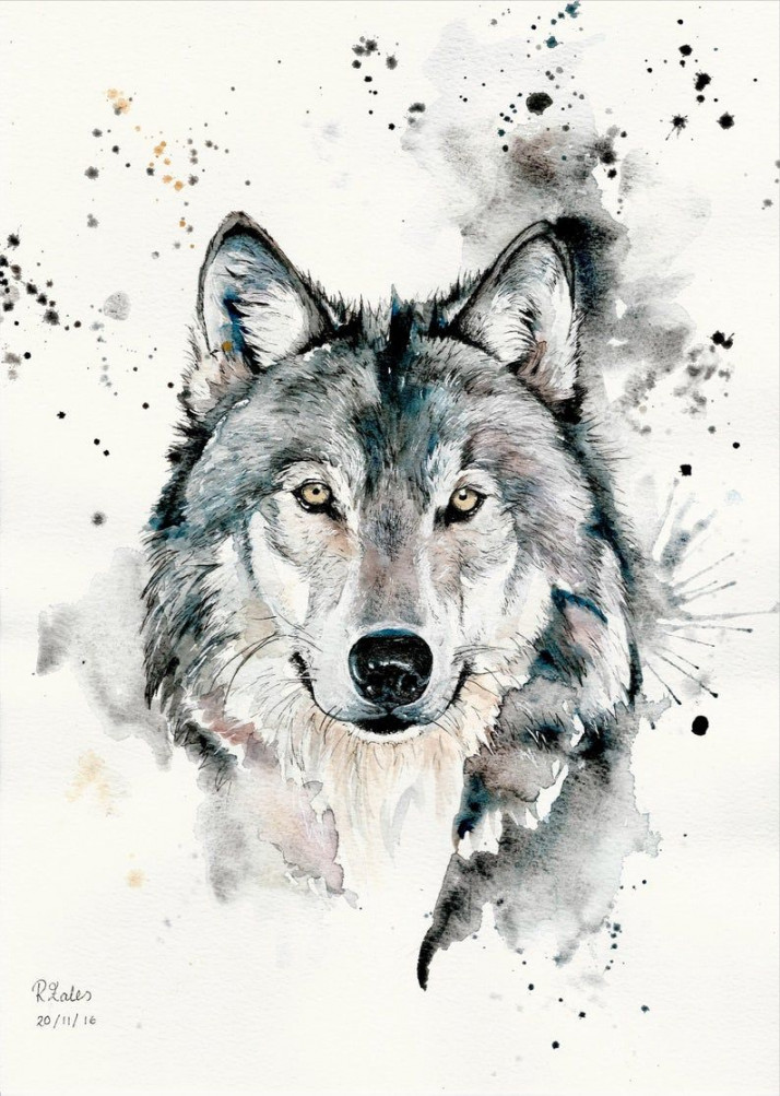 A A Watercolour Painting and Pen Wolf Original Art Print - Etsy