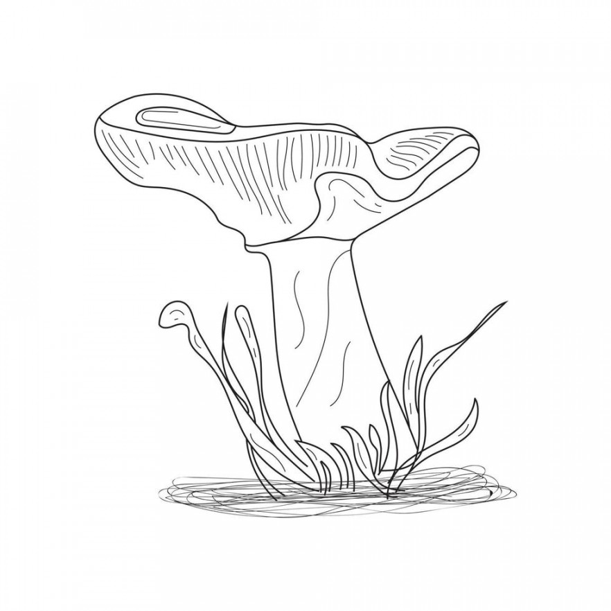 Abstract mushrooms line art