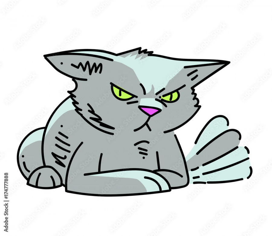 Angry cat cartoon hand drawn image