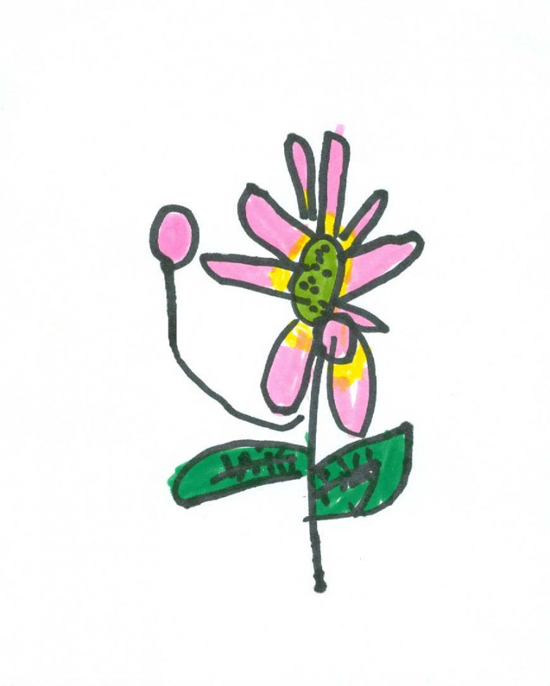 Art for Small Hands: Drawing - Flowers