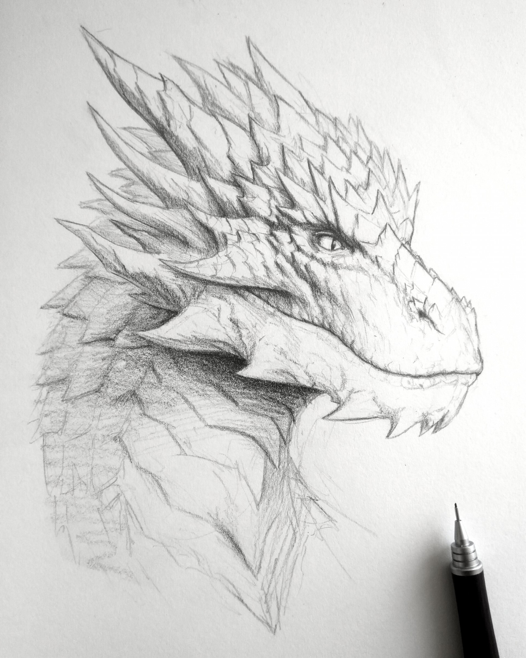 ArtStation - Dragon pencil sketch