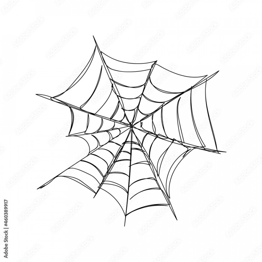 Asymmetrical spider web one line art