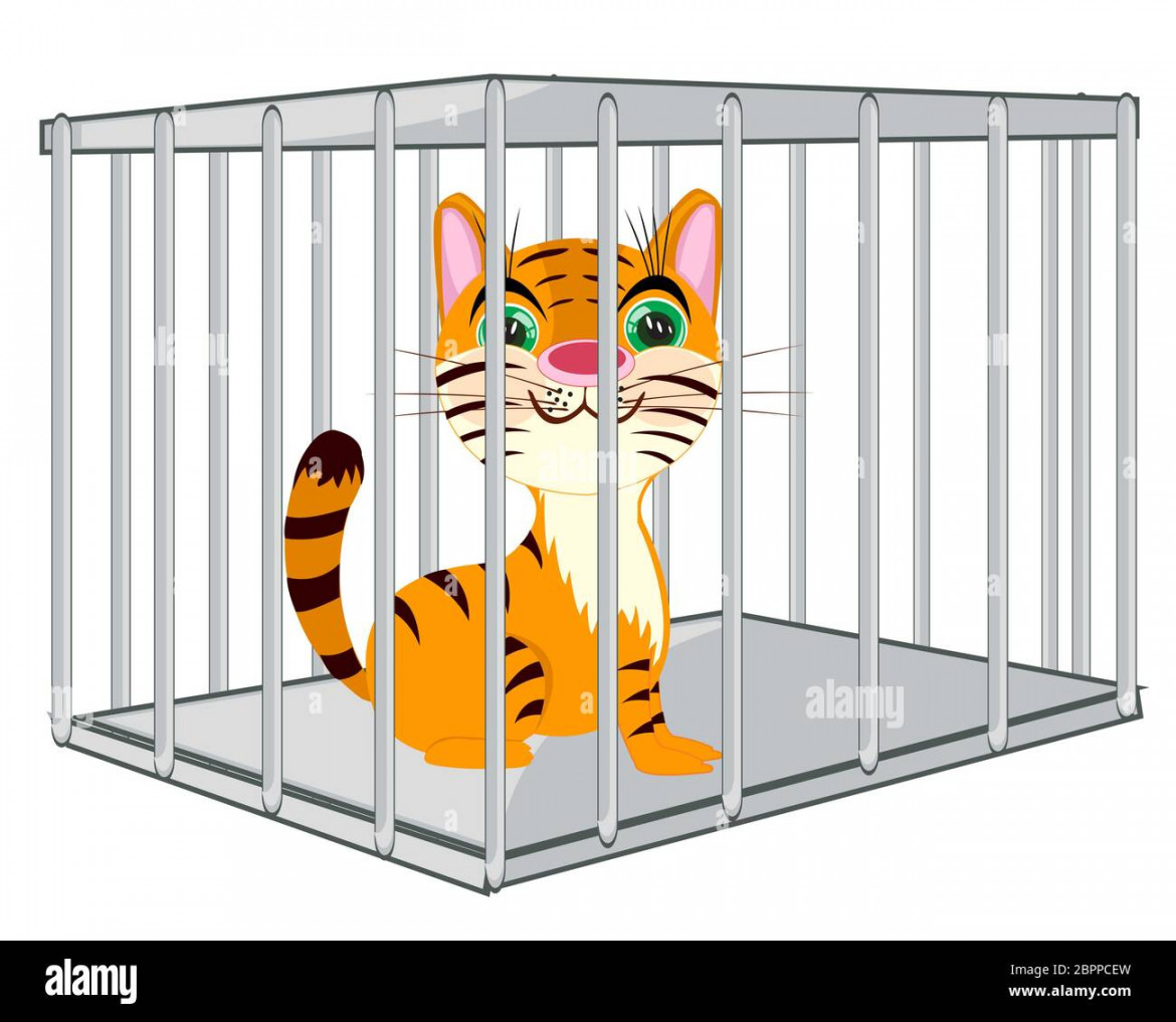 Baby drawing tiger in zoo hi-res stock photography and images - Alamy