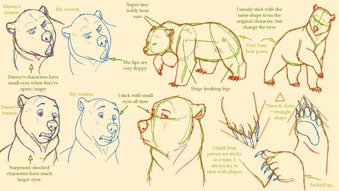 Basic bear anatomy by GOTFA-Comics on DeviantArt  Bear character