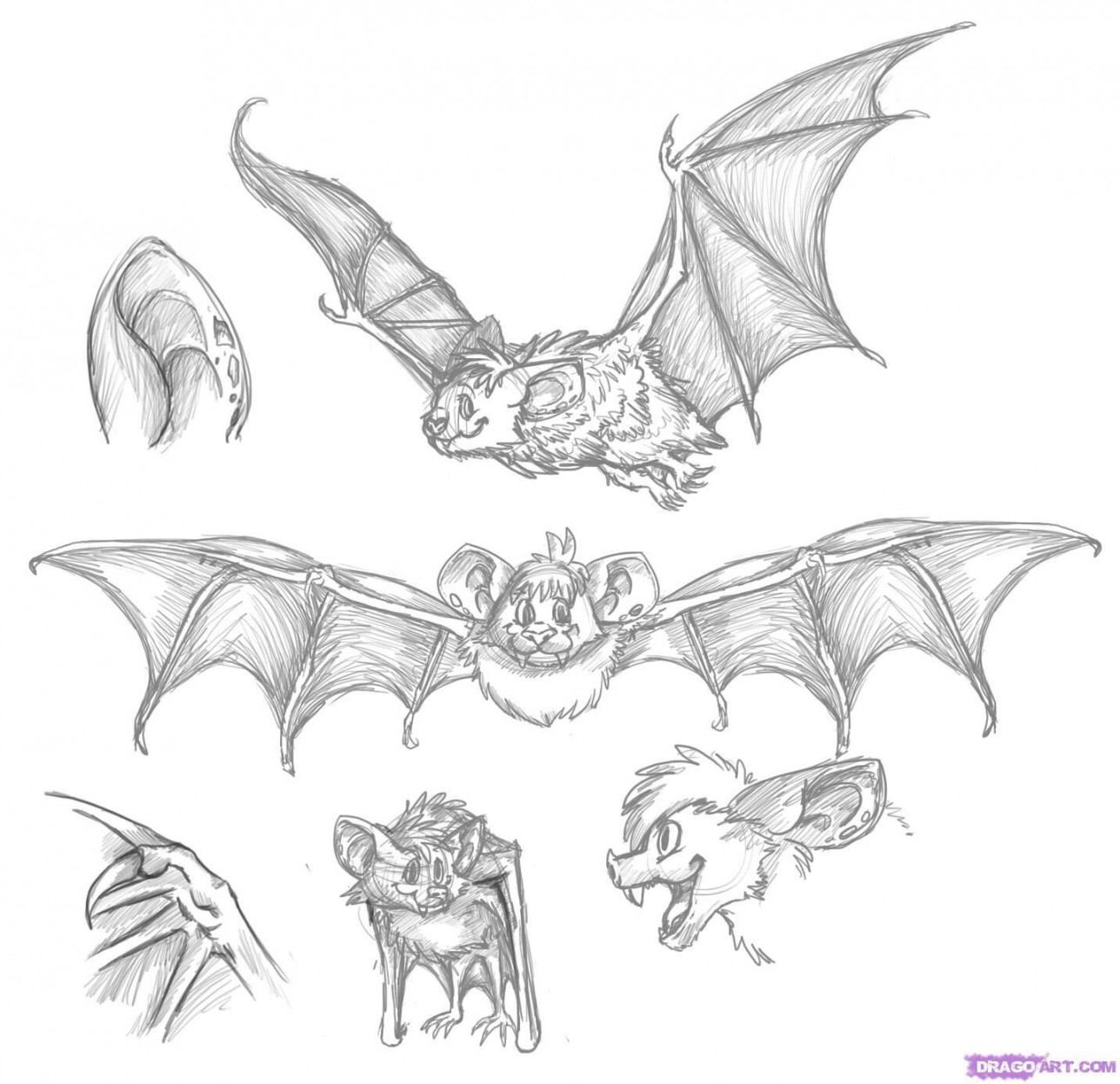 Bat drawings  Fledermäuse, Zeichnungen, Kinderbücher