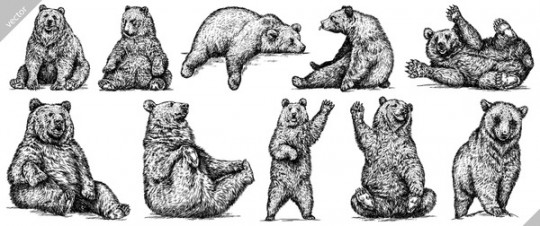 , Bear Drawing Royalty-Free Images, Stock Photos & Pictures