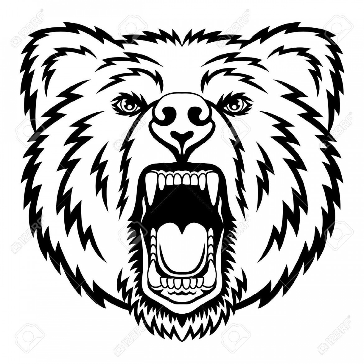 bear head drawing - Google Search  Bear tattoo designs, Bear