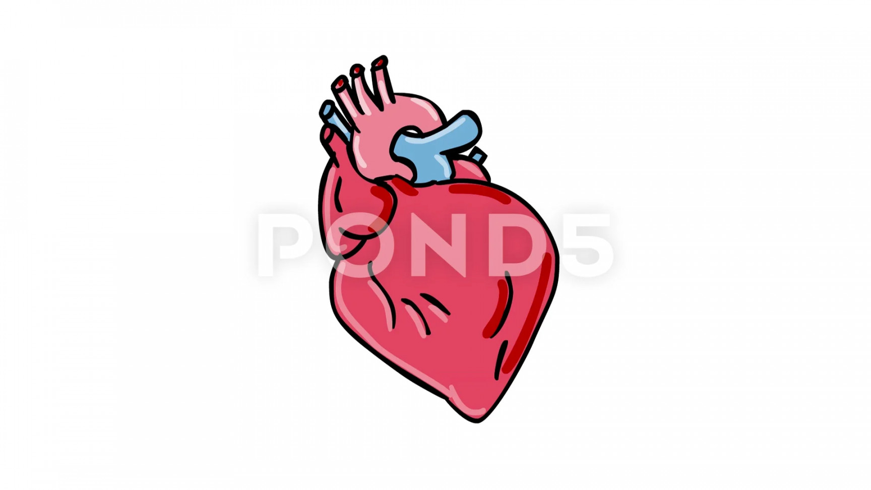 Beating Heart Cartoon D Animation
