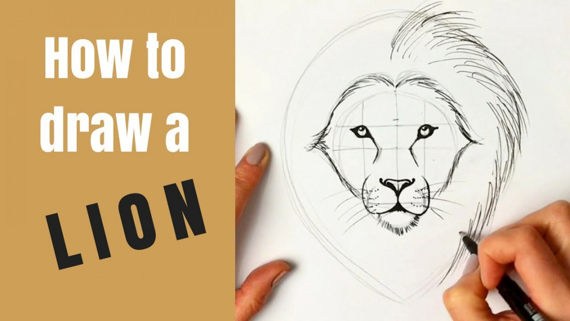 Beginners - How to Draw a Lion