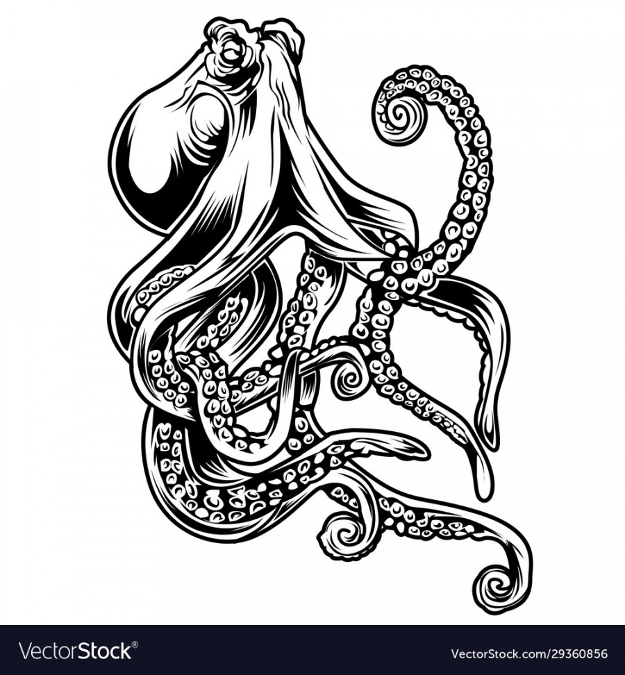 Big octopus drawing black amp white Royalty Free Vector