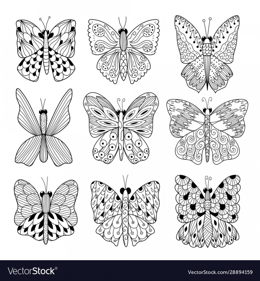 Black and white butterflies collection coloring Vector Image