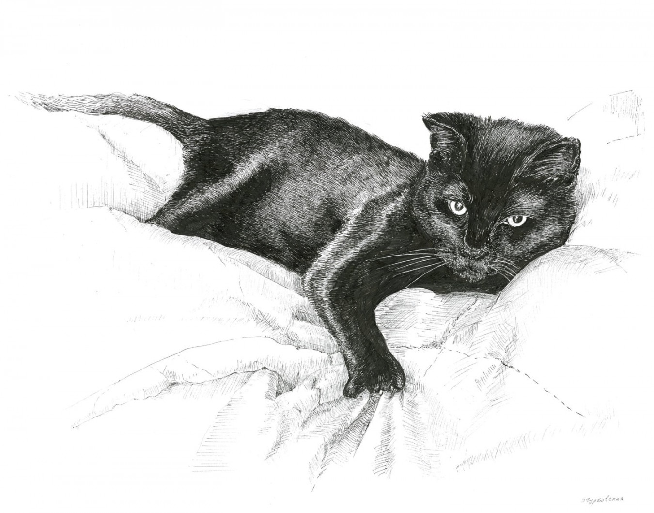 Black cat drawing cat art print pen and ink sketch cat - Etsy