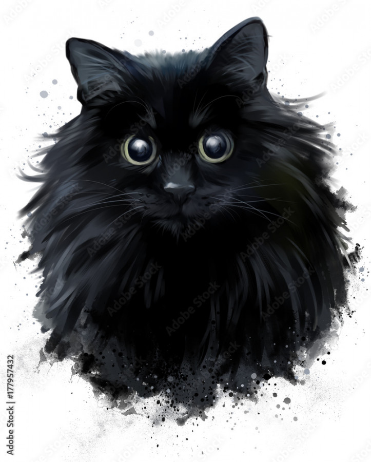 Black cat drawing in grunge style Stock-Illustration  Adobe Stock