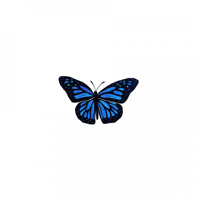 Blue butterfly Drawing by Njomza Mala - Pixels