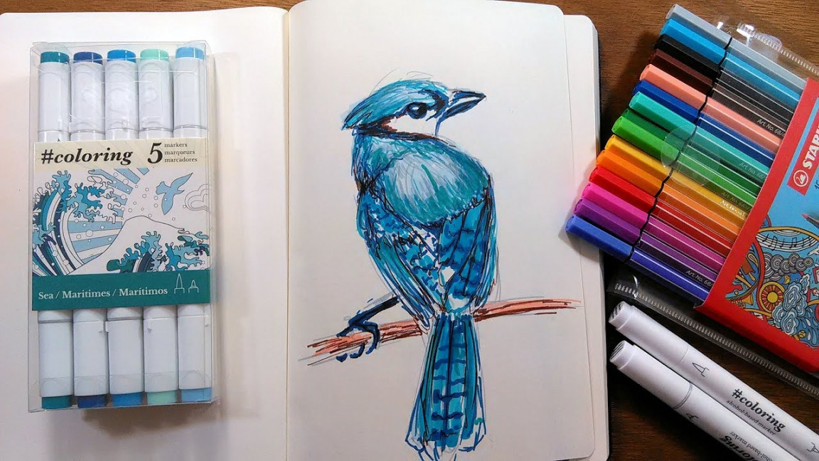 Blue jay in Markers Sketching Tutorial