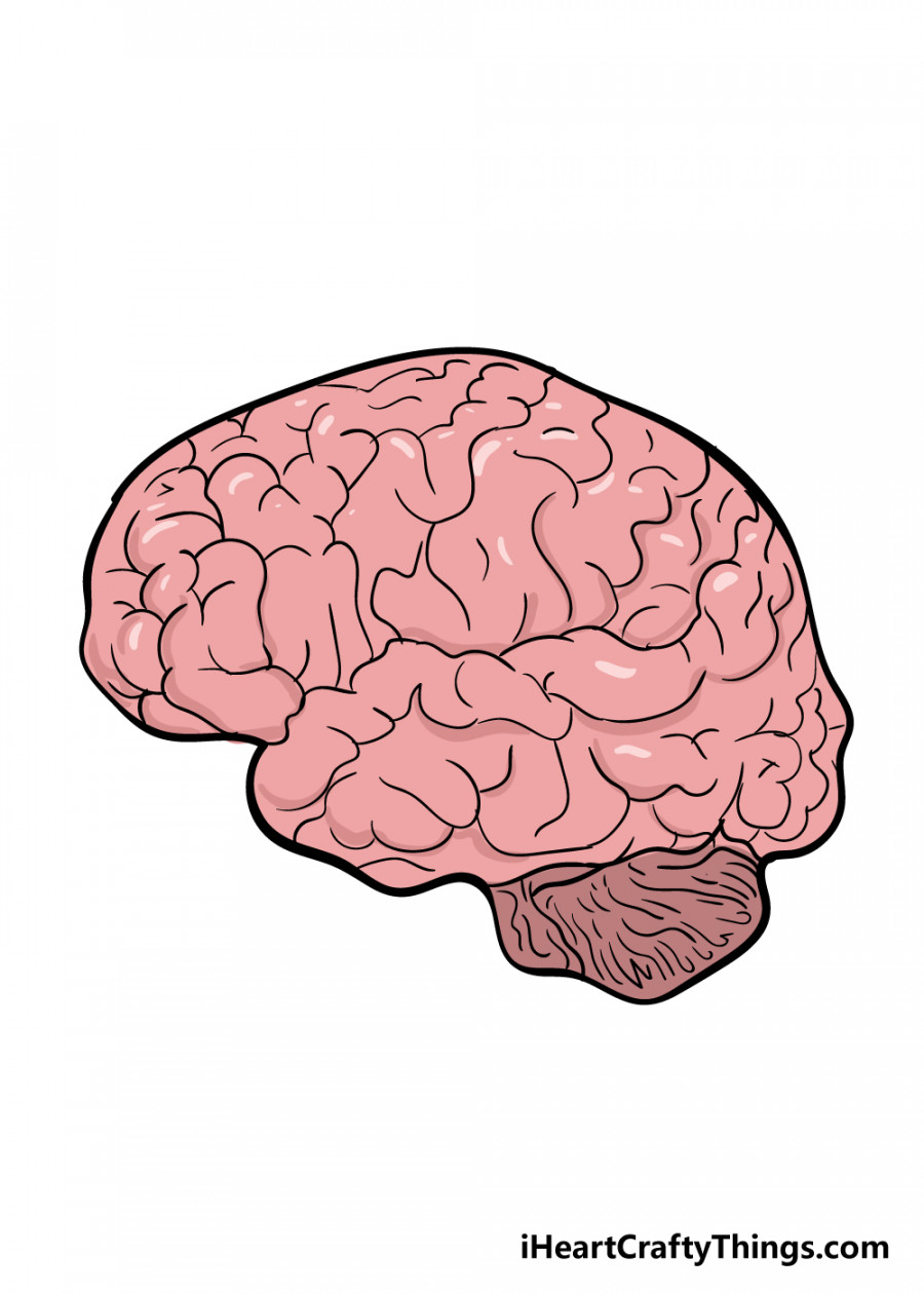 Brain Drawing - How To Draw A Brain Step By Step