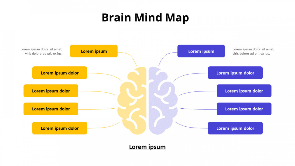 Brain Mind MapRelationshipDiagram