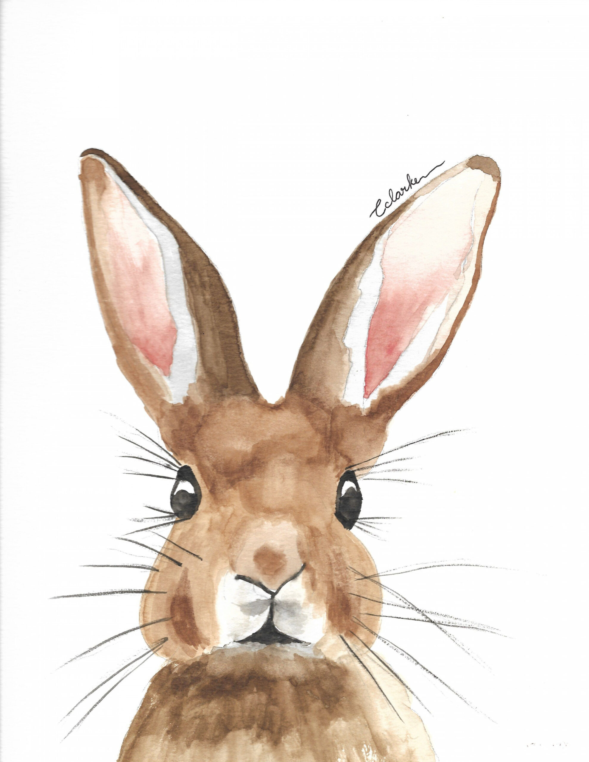 Bunny Watercolor Painting  Bunny watercolor, Bunny painting