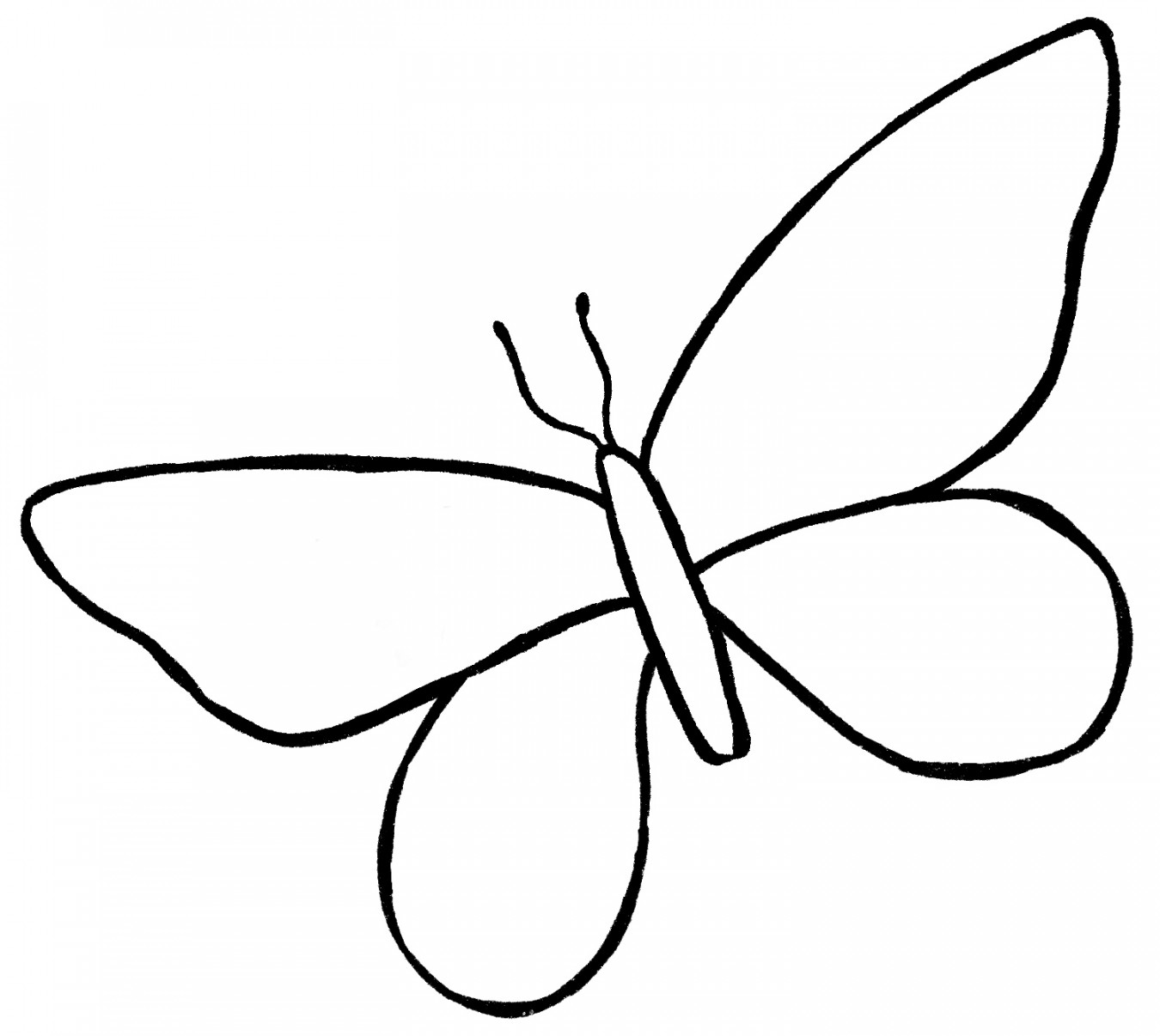 Butterfly Drawing  Easy Steps! - The Graphics Fairy