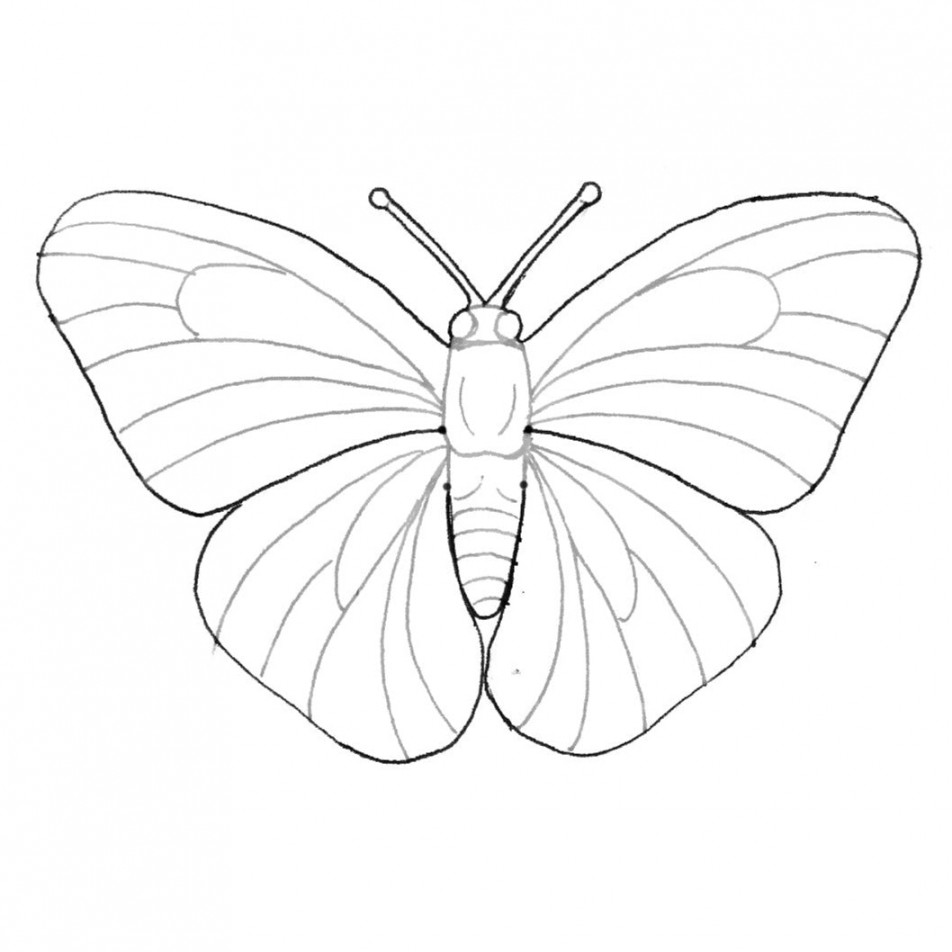 Butterfly Pattern by Annie Libertini – Elktracks Studio