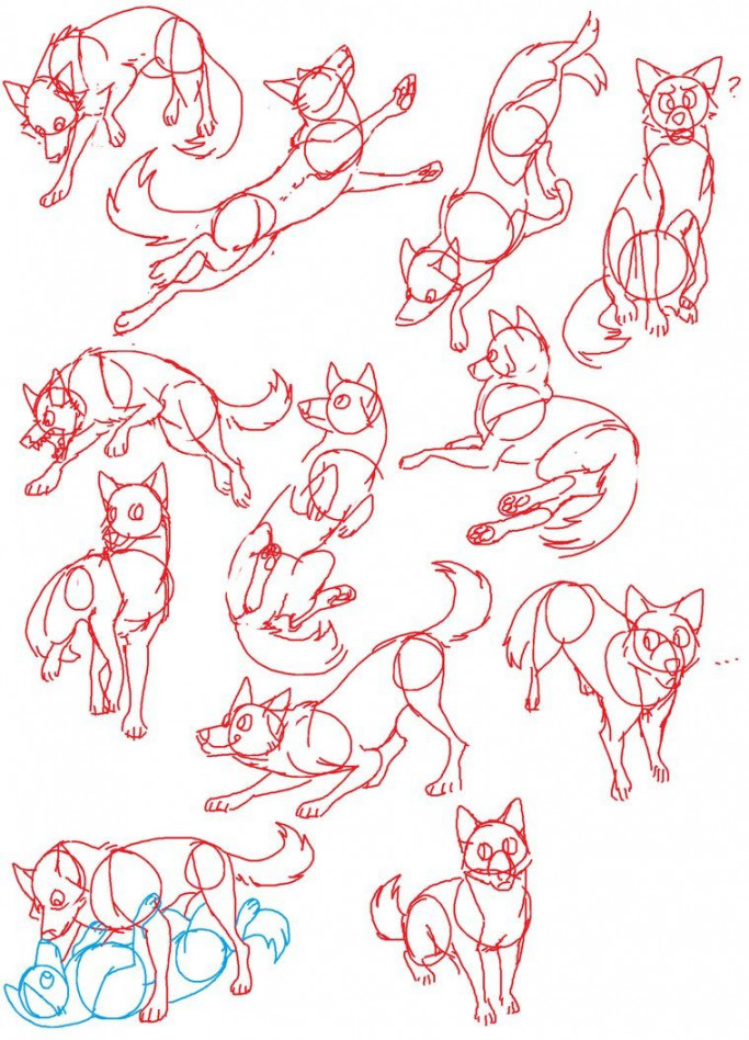 Canine Poses by Spakitty on deviantART  Animal drawings, Art