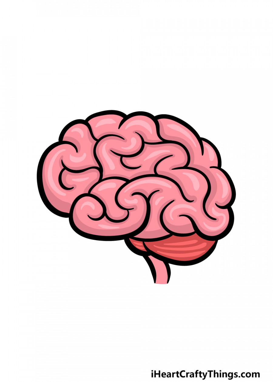 Cartoon Brain Drawing - How To Draw A Cartoon Brain Step By Step