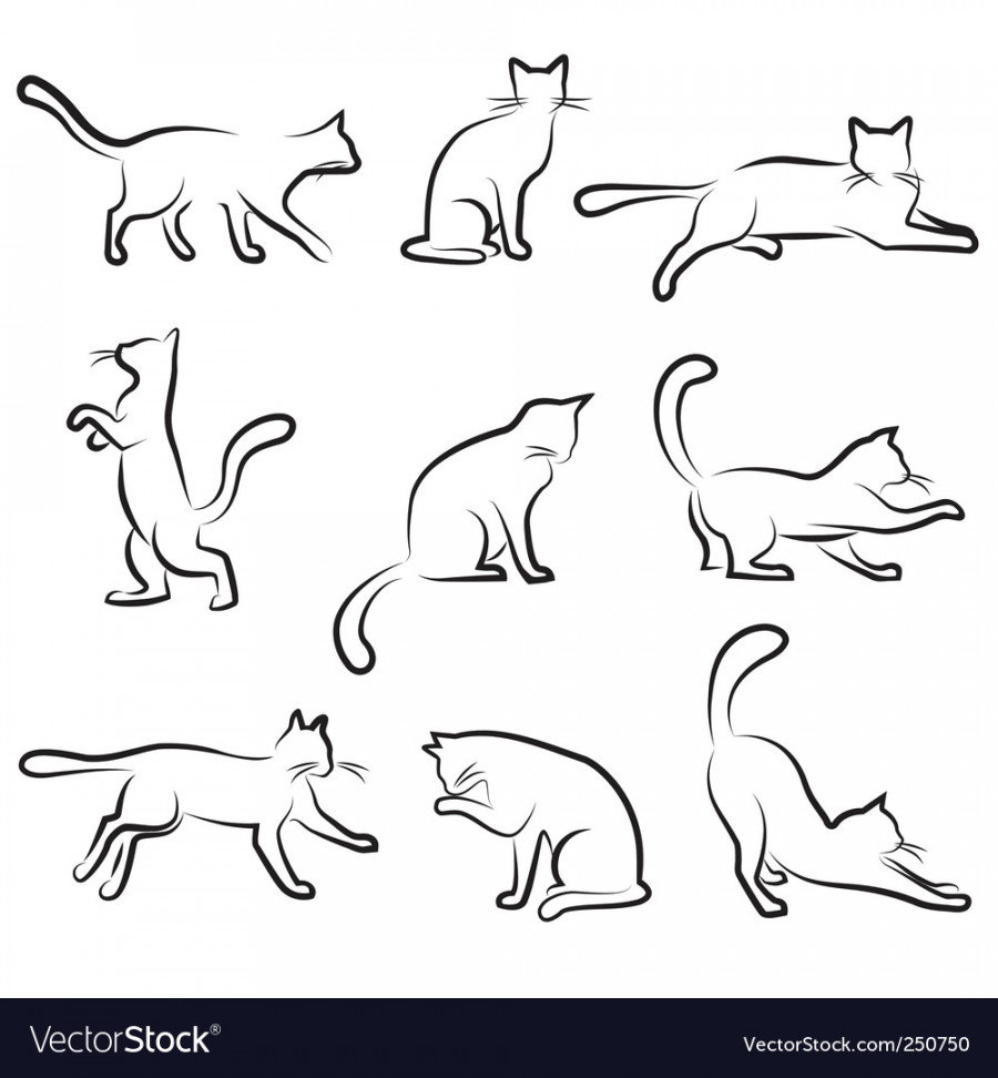 Cat drawing set Royalty Free Vector Image - VectorStock