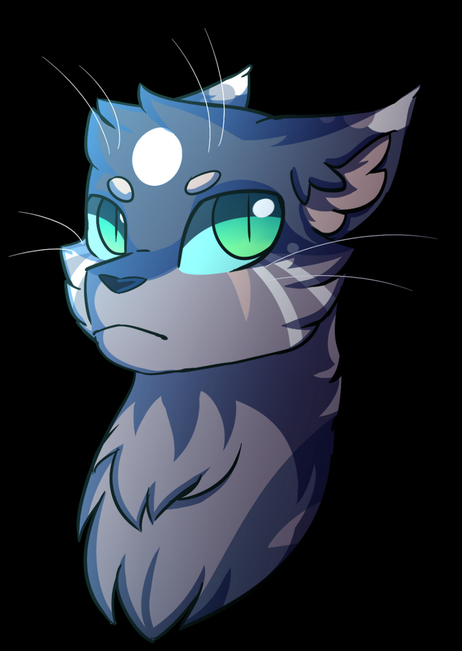 cat OC by Cloud-Drawings on DeviantArt