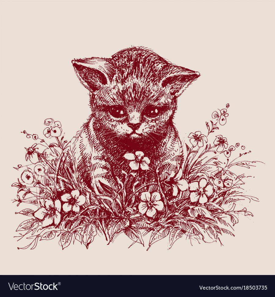 Cat sitting between flowers hand drawing Vector Image