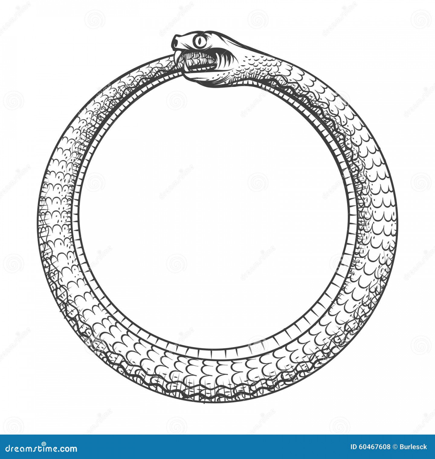 Circle Snake Stock Illustrations – , Circle Snake Stock