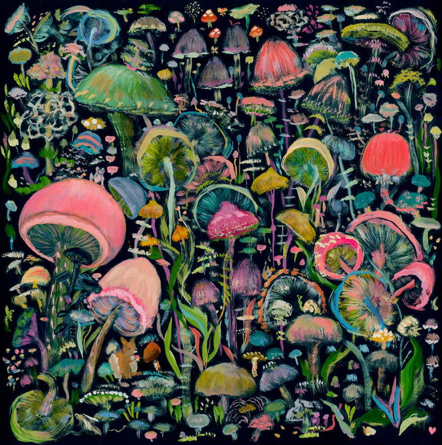 Colorful Mushrooms — Allyn Howard