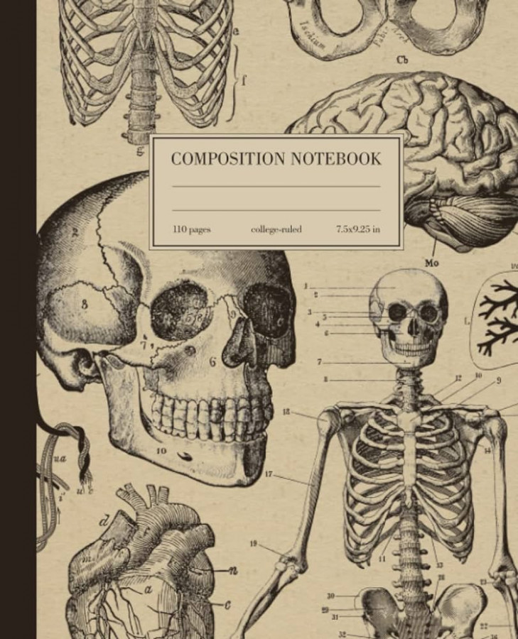 Composition Notebook College Ruled: Human Anatomy Vintage Medical  Illustration  Skull Skeleton Med School Student Gift Journal  Wide Lined