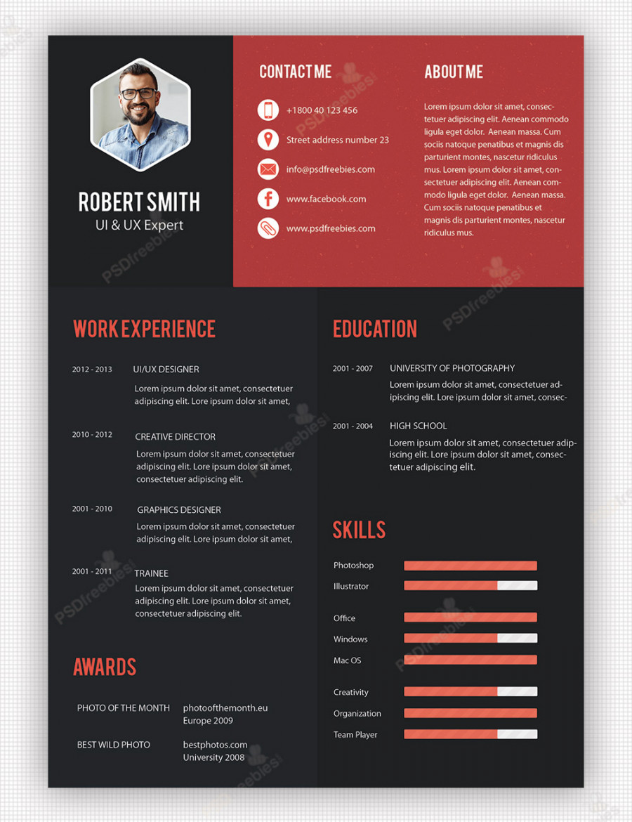 Creative Professional Resume Template Free PSD  PSDFreebies