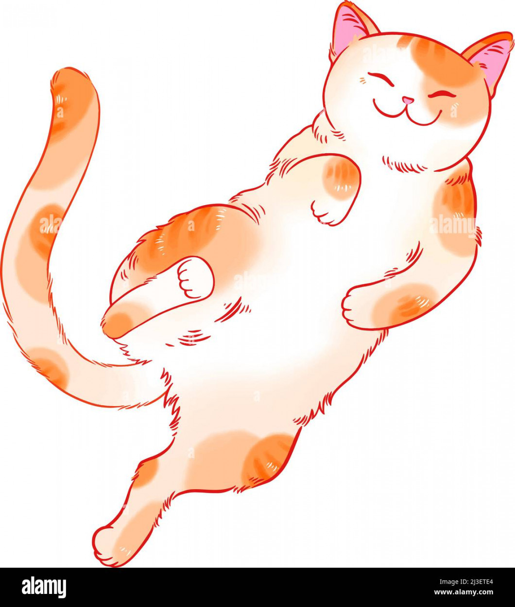 cute cartoon cat lying on his back