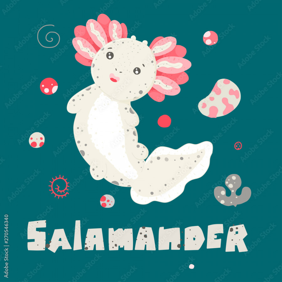 Cute Kawaii axolotl, baby amphibian drawing