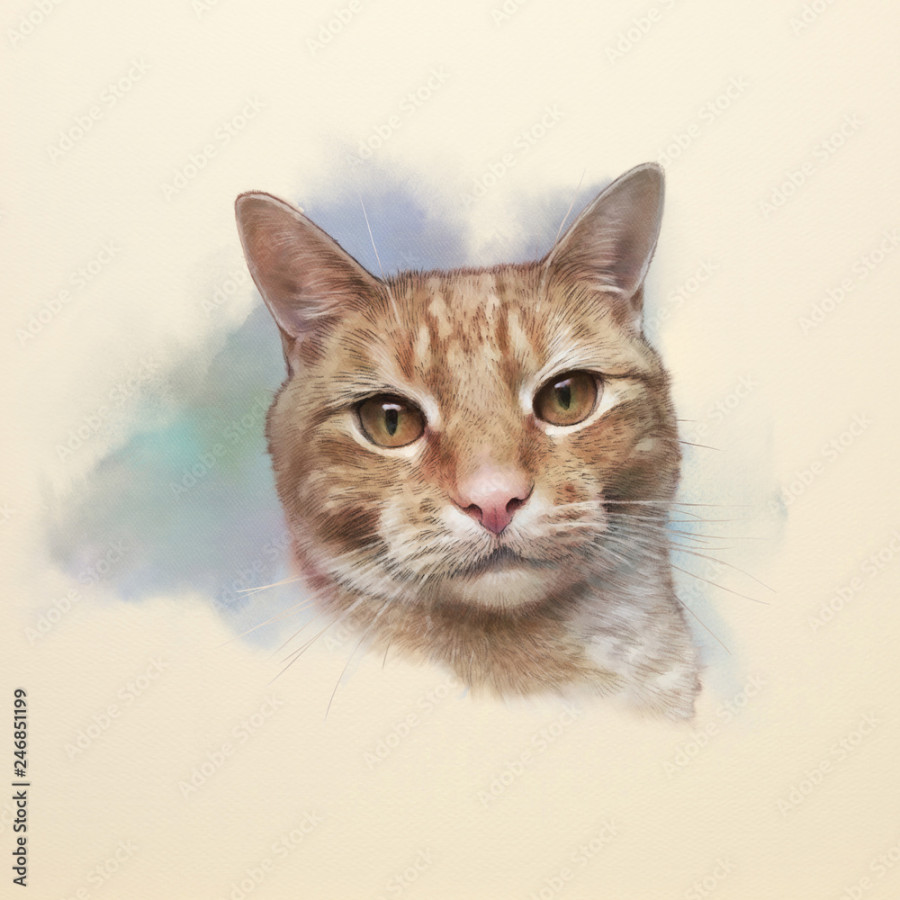 Cute red cat. Realistic watercolor portrait of a pet