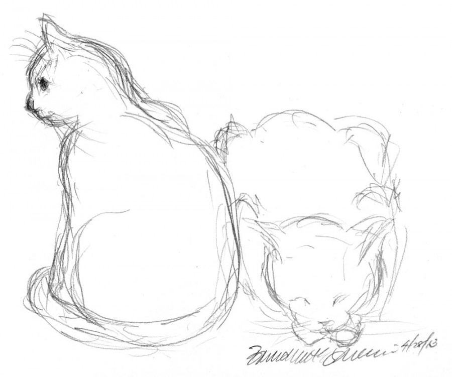 Daily Sketch: Two Cats - The Creative Cat