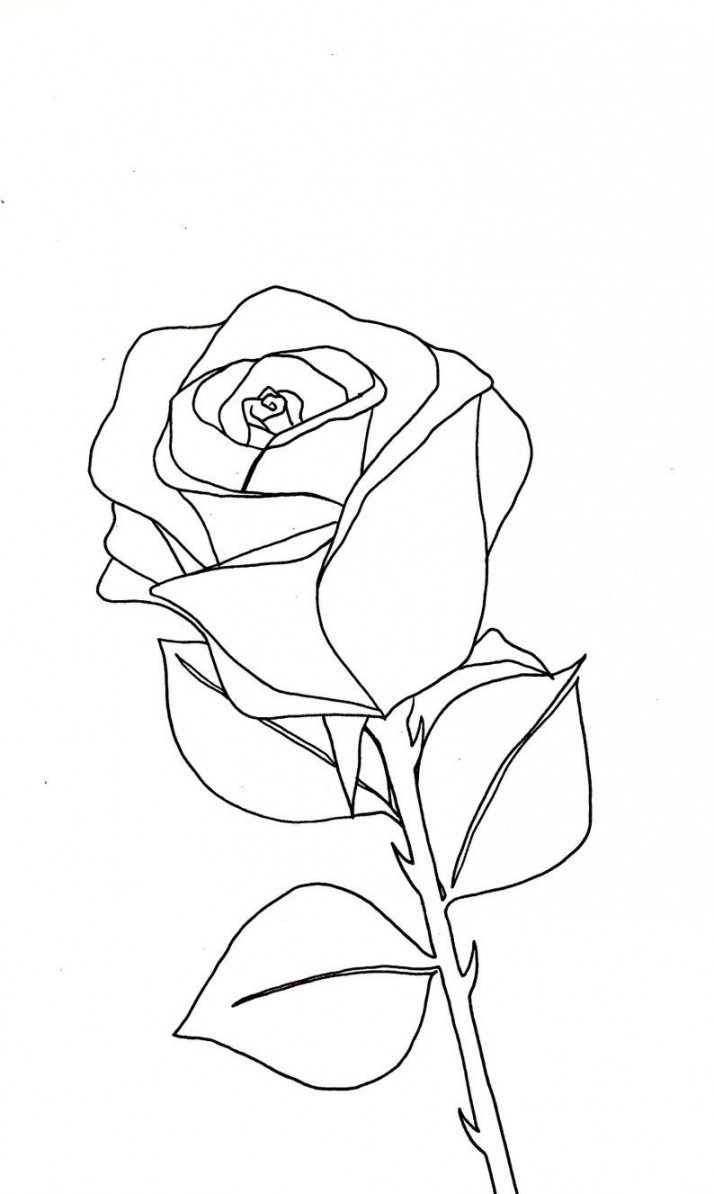 Digital Print Rose Line Drawing Wall Art Décor Print at Home